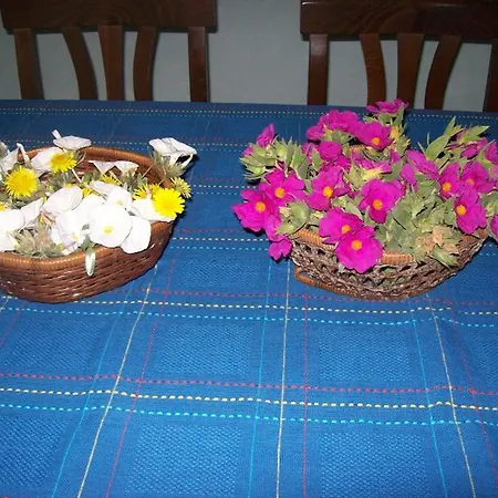 Margherita Villa Stintino